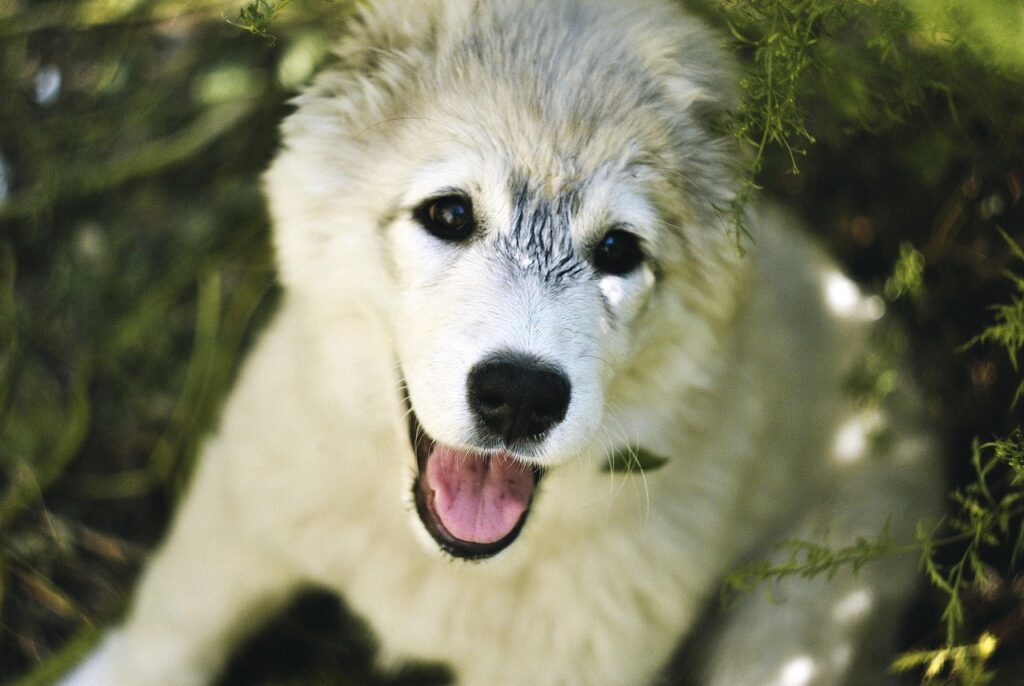 脱毛プランのメンズ向け比較で選ぶべきポイントは？