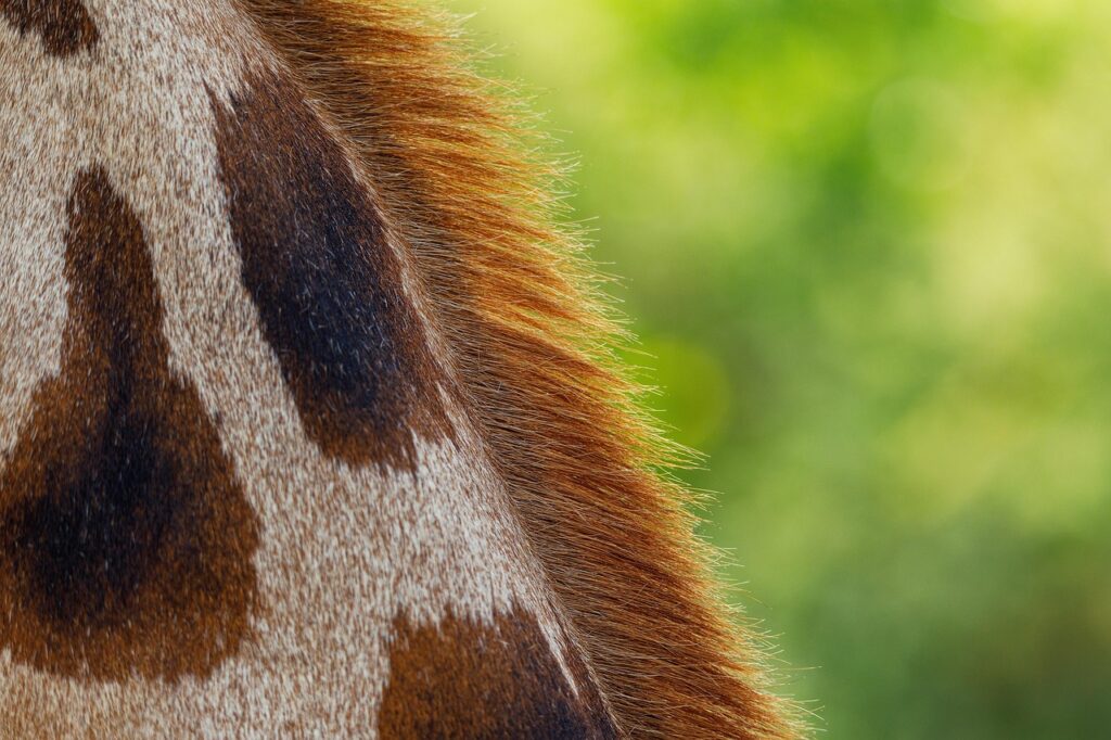 春に彼女に相談できないVIO脱毛の不安を解消する方法は？