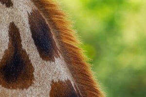 春に彼女に相談できないVIO脱毛の不安を解消する方法は？