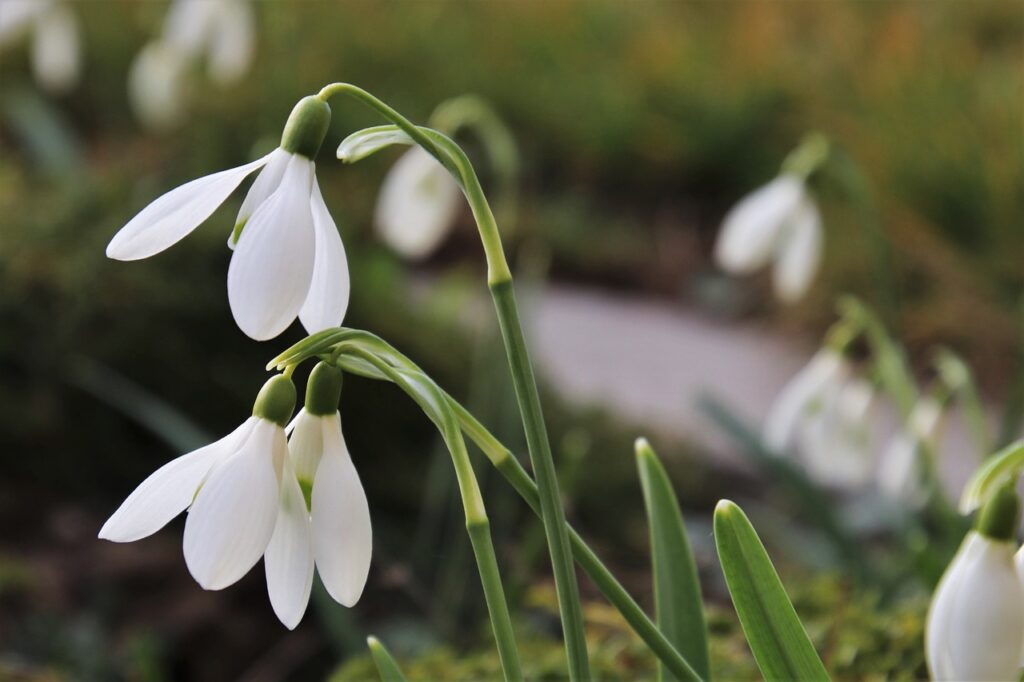 春の初回限定プランでメンズ脱毛の罠とは？