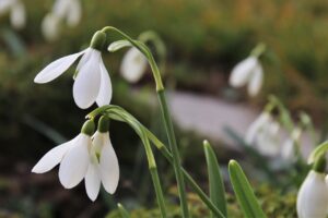 春の初回限定プランでメンズ脱毛の罠とは？