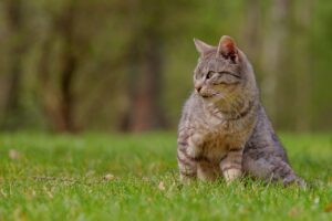 春にヒゲ脱毛を考える男性必見！モテたいあなたの目安回数は？
