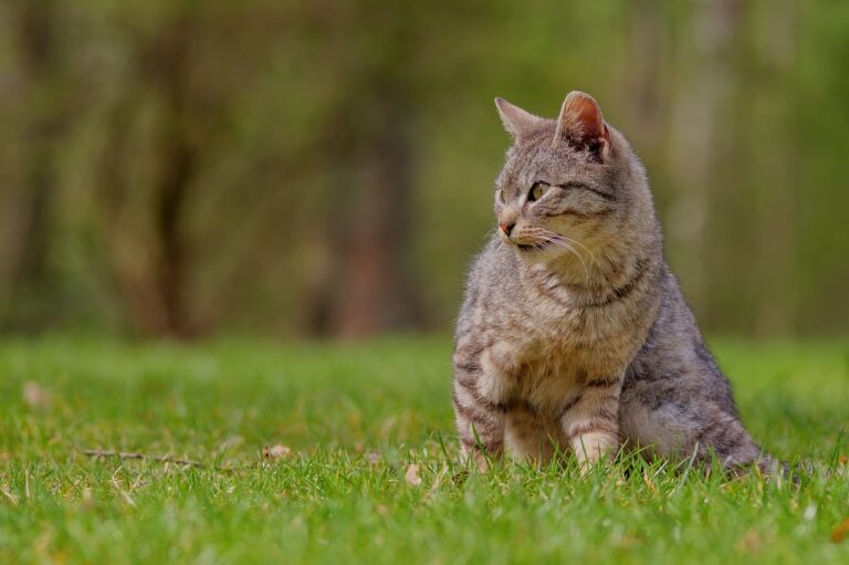 春にヒゲ脱毛を考える男性必見！モテたいあなたの目安回数は？